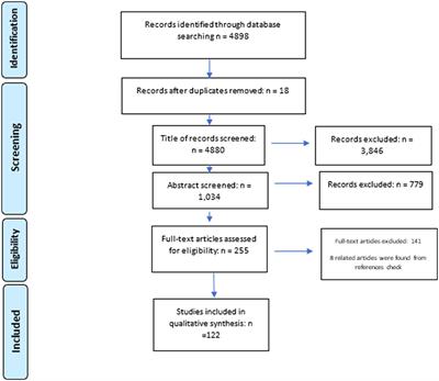Strategies to tackle non-communicable diseases in Afghanistan: A scoping review